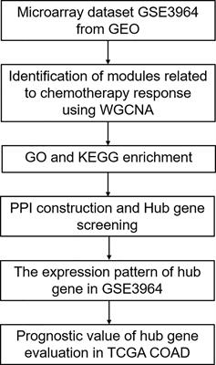 Identification of Hub Genes Associated With Sensitivity of 5-Fluorouracil Based Chemotherapy for Colorectal Cancer by Integrated Bioinformatics Analysis